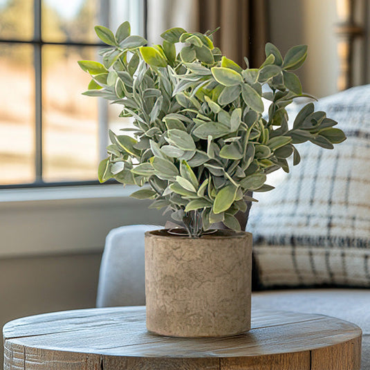 Lifelike Sage Bush in Recycled Pot Collection KAL