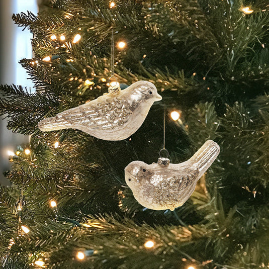 Glass Bird Ornaments, Set of 2 Gift TP