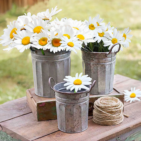 Nesting Galvanized Metal Garden Planter, Set of Three Whats trending CT