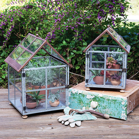 Farmhouse Metal and Glass Terrariums, Set of Two Whats trending CT