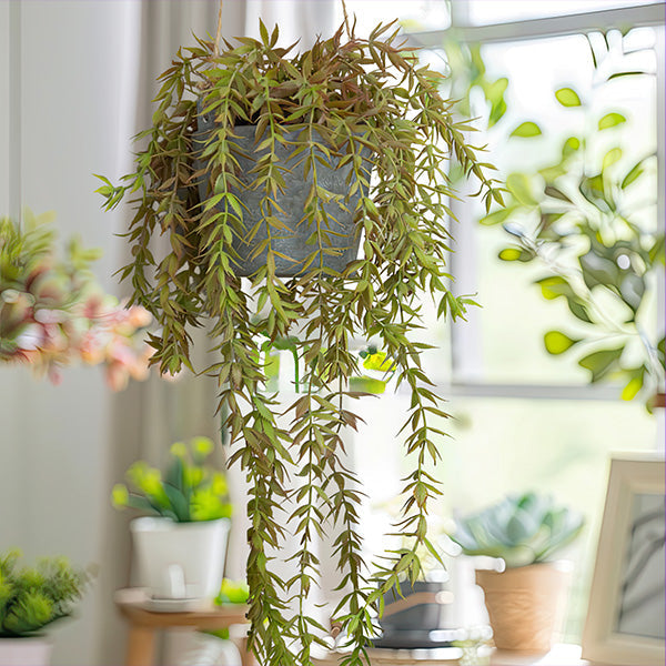 Weeping Faux Plant with Hanging Concrete Pot RH