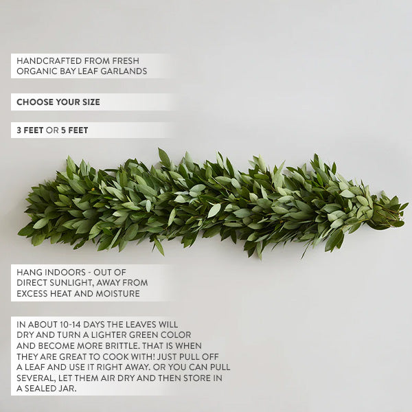 Load image into Gallery viewer, Bay Leaf Cooking Garland, Choose Your Size Whats trending MF
