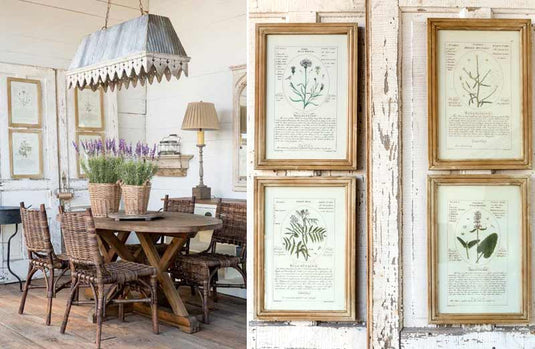 *HUGE* Framed Botanical Art Prints Set of 4 General PHC