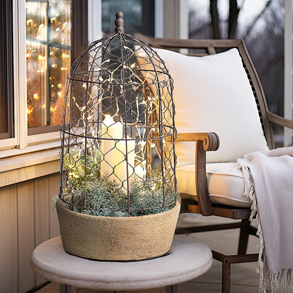 Chicken Wire Cloche with Terra Cotta Pot Whats trending CT