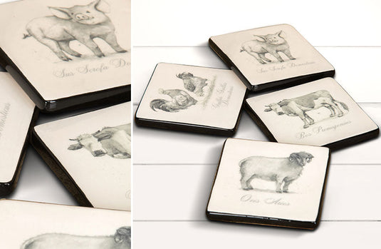 Farm Animal Coasters General DCI