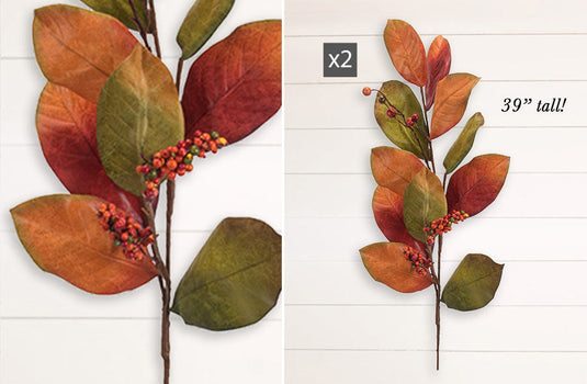 Orange Magnolia Leaves With Berries, Set of 2 General DCI