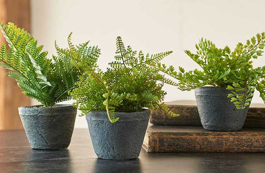 Potted Faux Ferns Set of 3 General RAZ