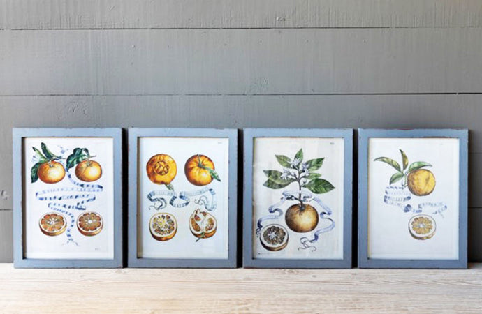 Framed Citrus and Ribbon Prints Set of 4 General PHC