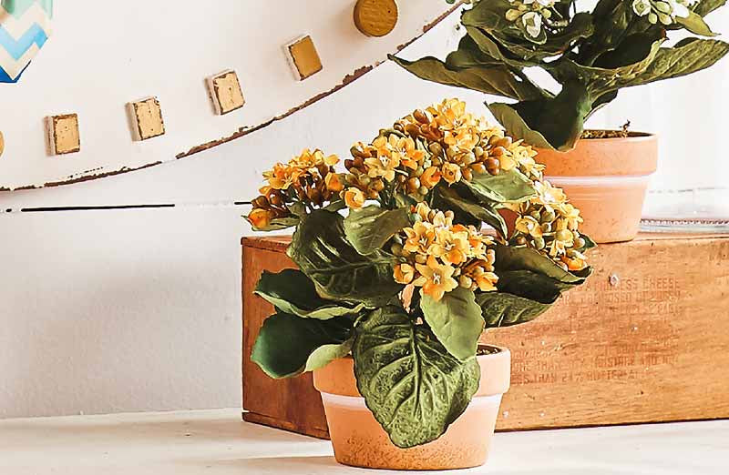 Load image into Gallery viewer, Potted Kalanchoe Set of 2 Accessory RAZ
