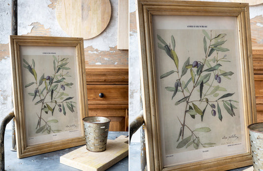 Framed Botanical Olive Print General PHC