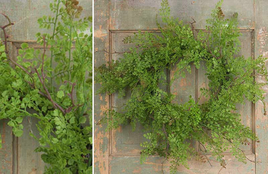 Maidenhair Fern Wreath General DCI