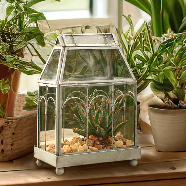 Tabletop Glass Terrarium General CT