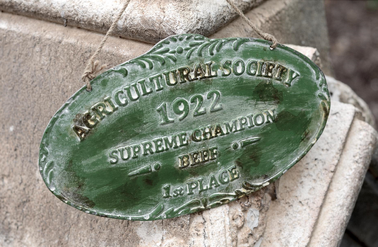 Agricultural Society Vintage Plaque General PPD