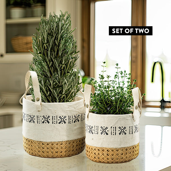 Cream Cement Planters with Handles, Set of Two Whats trending ABH