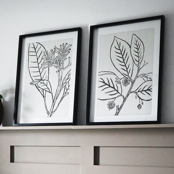 Framed Black Leaf Wall Art, Set of Two Whats trending KAL