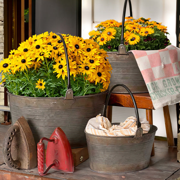 Distressed Round Buckets With Handles, Set of 3 Whats trending CT