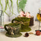 Set of 2 Teacup Shaped Planter Boxes Preserved Moss with Twine Green - Flower Basket Centerpieces 5", 4" Decorations PROstorez Default Title