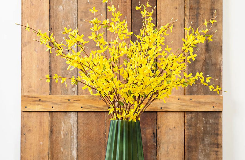 Load image into Gallery viewer, Lifelike Forsythia, Pick Your Style General MEL
