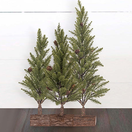 Pine Tree On Natural Bark Base, Medium General DCI