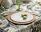 White Round Plastic Plates 30 Pack - Superior Plate PROstorez