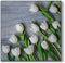 White Tulips Floral Lunch Napkin - 20 Pack Lunch Napkins PROstorez