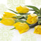Yellow Tulips Floral Lunch Napkin - 20 Pack Lunch Napkins PROstorez